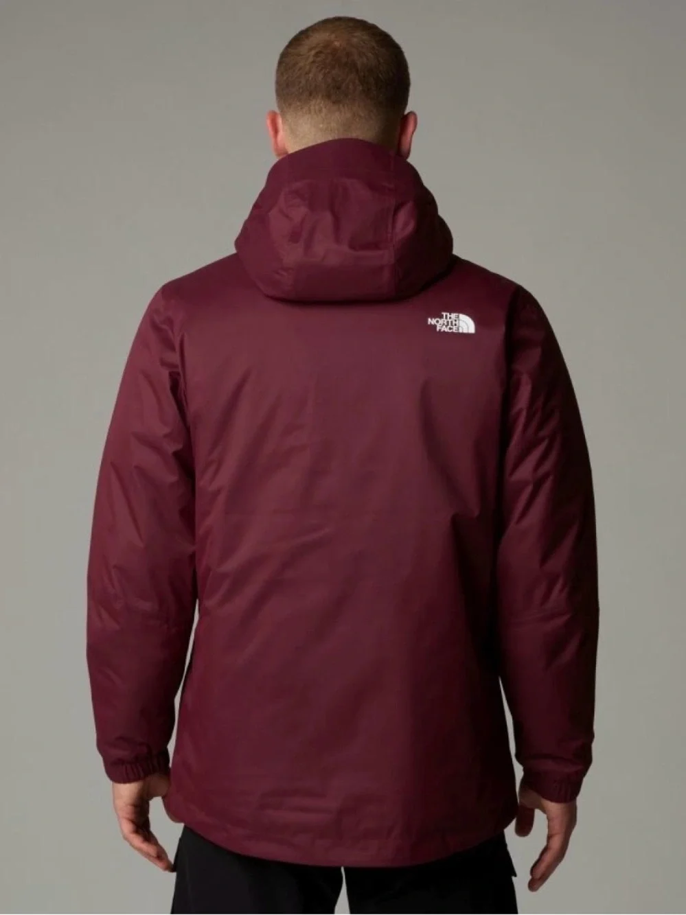 The North Face 550-down Parka